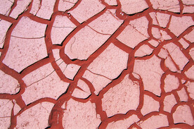 干裂的土地