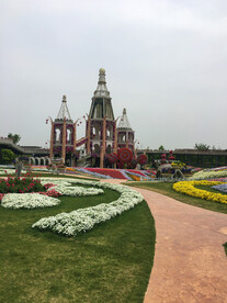 植物园里的鲜花