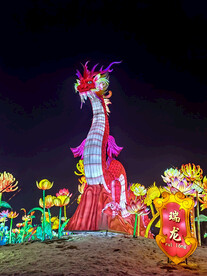 龙年灯光展