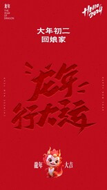 过大年之大年初二