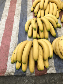 一串香蕉