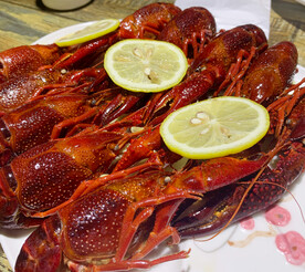 冰镇龙虾