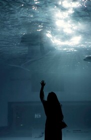 海洋馆的女性背影