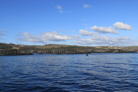  三文鱼养殖基地