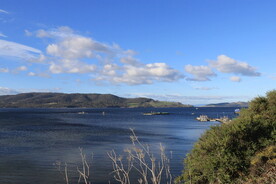 三文鱼养殖基地