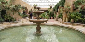 塔斯马尼亚皇家植物园