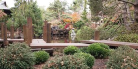 塔斯马尼亚皇家植物园