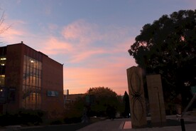 塔斯马尼亚大学