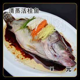 清蒸活桂鱼