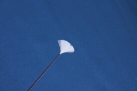 采耳工具采耳毛棒鹅毛棒