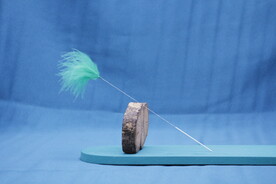 采耳工具采耳毛棒芙蓉毛