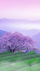 高清拍摄竖屏风景素材