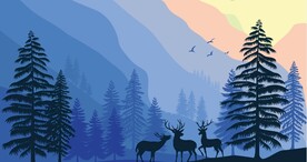 森林自然景观中的野生动物麋鹿