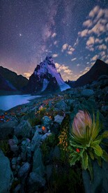 高清拍摄竖屏风景素材