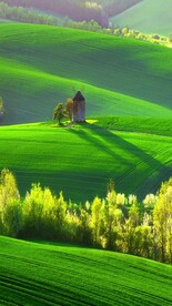 高清拍摄竖屏风景素材