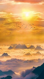 唯美风景高清拍摄竖屏素材