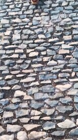 唯美风景高清拍摄竖屏素材