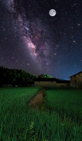 高清拍摄 竖屏视频 高清视频 