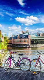 唯美风景高清拍摄竖屏素材