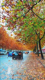 唯美风景高清拍摄竖屏素材