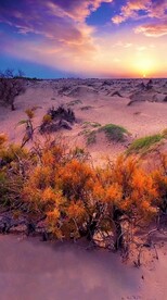 唯美风景高清拍摄竖屏素材