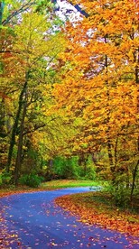 唯美风景高清拍摄竖屏素材