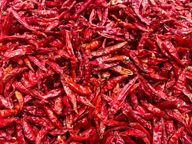 干辣椒