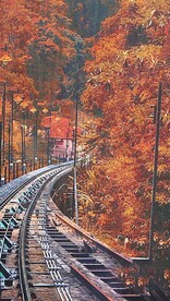 高清唯美风景拍摄竖屏素材