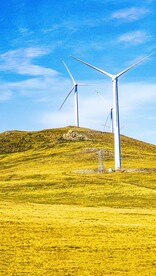 高清唯美风景拍摄竖屏素材