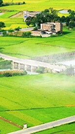 高清唯美风景拍摄竖屏素材