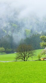 高清唯美风景拍摄竖屏素材