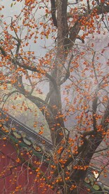 高清唯美风景拍摄竖屏素材