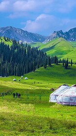 高清唯美风景拍摄竖屏素材