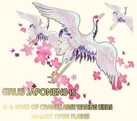 飞升白鹤图素材