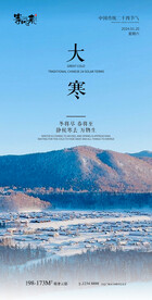地产大寒海报