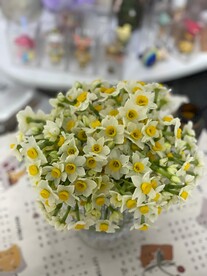 水仙花