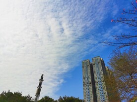 美丽的城市蓝天