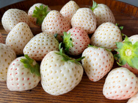 白草莓