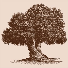 手绘树