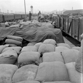 民末 上海 历史影像 