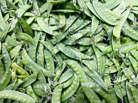 荷兰豆
