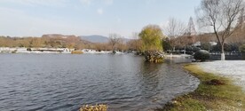 博爱湖冬景
