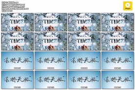 AE模板照片汇聚结尾