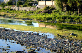 大石河磁家务段河床
