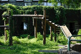 北京动物园的大熊猫滑梯