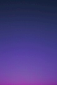 紫色背景