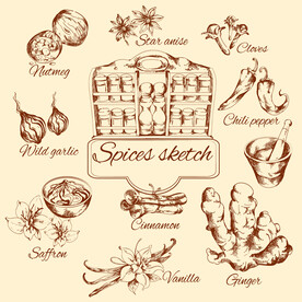 10款香料手绘图