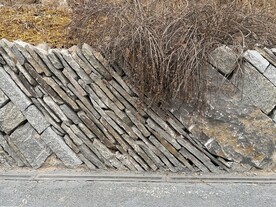 公园里的石头墙