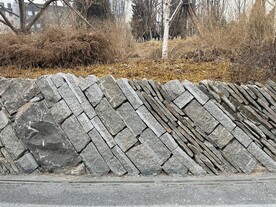 公园里的石头墙