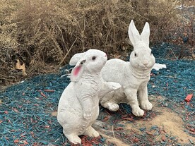 公园里的兔子塑像